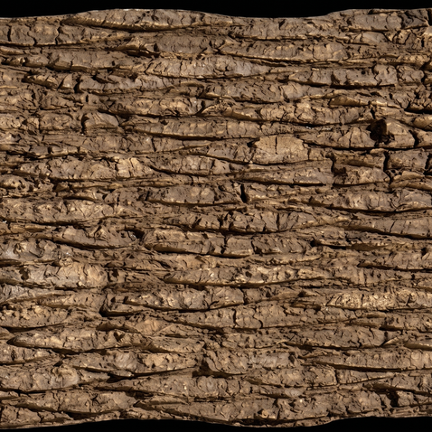 Dekorativni stenski panel - Les Palm - 118 x 95 cm