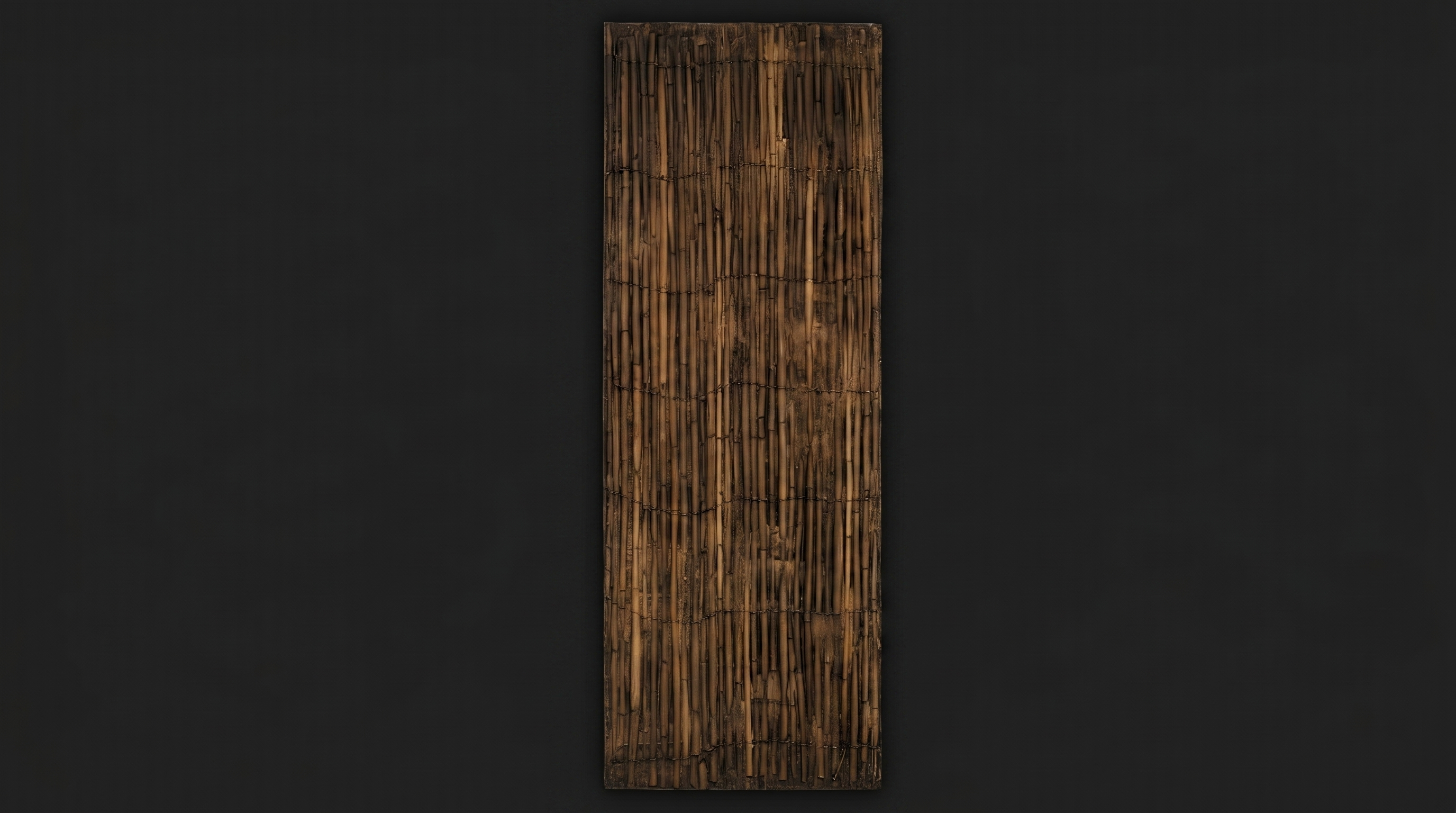 Dekorativni stenski panel - Les Cane - 153 x 54,5 cm