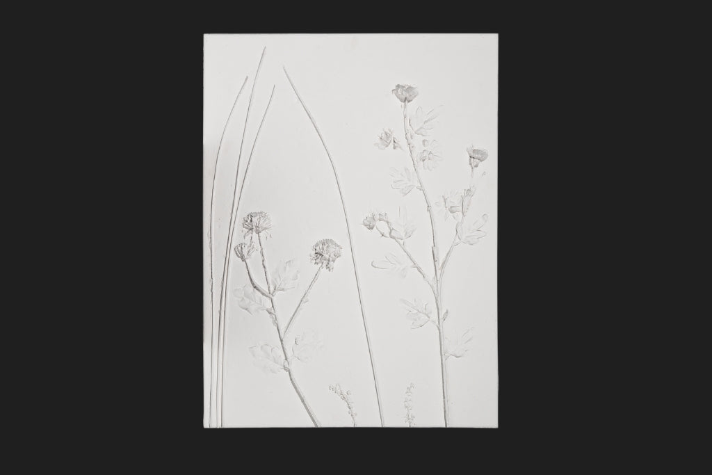 Dekorativni stenski panel - Cvetje 3D Flower bela (A/B/C/D) - 80 x 60 cm